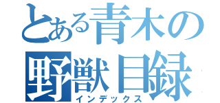 とある青木の野獣目録（インデックス）