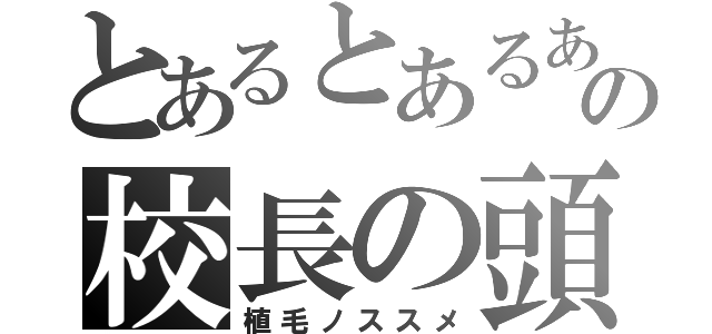 とあるとあるあの校長の頭（植毛ノススメ）