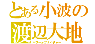 とある小波の渡辺大地（パワーオブネイチャー）