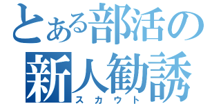 とある部活の新人勧誘（スカウト）