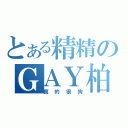 とある精精のＧＡＹ柏熊（真的很狗）