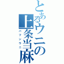 とあるウニの上条当麻（バフンウニ）