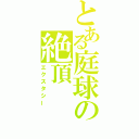 とある庭球の絶頂（エクスタシー）