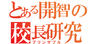 とある開智の校長研究（プリンサプル）