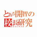 とある開智の校長研究（プリンサプル）