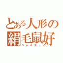 とある人形の絹毛鼠好（ハムスター）