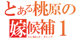 とある桃原の嫁候補１位（シャルロット・デュノア）