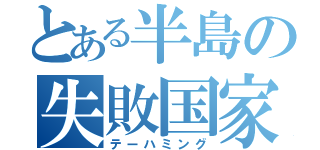 とある半島の失敗国家（テーハミング）