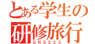 とある学生の研修旅行（ＳＲＳ２２３）