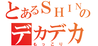 とあるＳＨＩＮのデカデカ（もっこり）