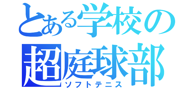 とある学校の超庭球部（ソフトテニス）