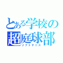 とある学校の超庭球部（ソフトテニス）