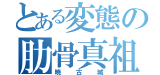 とある変態の肋骨真祖（暁古城）