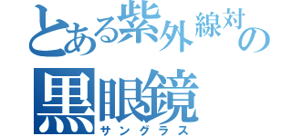 とある紫外線対策の黒眼鏡（サングラス）