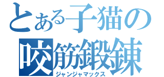 とある子猫の咬筋鍛錬（ジャンジャマックス）