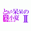 とある呆呆の笨小夏Ⅱ（笨笨小夏＾＾）