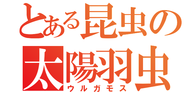 とある昆虫の太陽羽虫（ウルガモス）