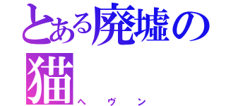 とある廃墟の猫（へヴン）