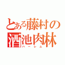 とある藤村の酒池肉林（ハーレム）