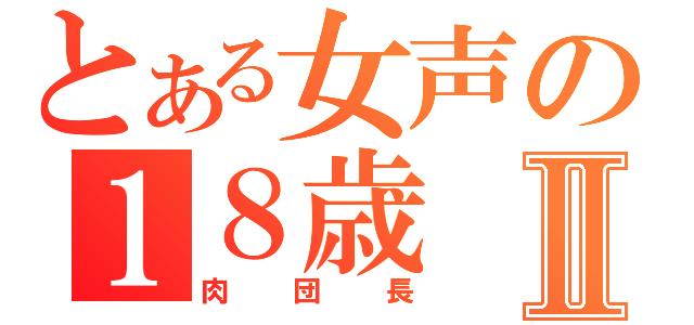 とある女声の１８歳Ⅱ（肉団長）