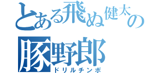 とある飛ぬ健太の豚野郎（ドリルチンポ）