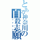 とある神奈川の自殺志願（ニイサン）