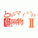 とあるマイクラの危険物Ⅱ（匠！！）