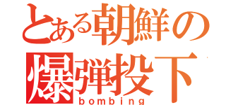 とある朝鮮の爆弾投下（ｂｏｍｂｉｎｇ）