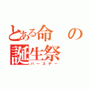 とある命の誕生祭（バースデー）