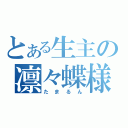 とある生主の凛々蝶様（たまるん）