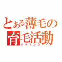 とある薄毛の育毛活動（アデランス）