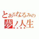 とあるなるみの夢ノ人生（璃ゐ魔蘇）