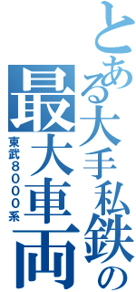 とある大手私鉄の最大車両（東武８０００系）