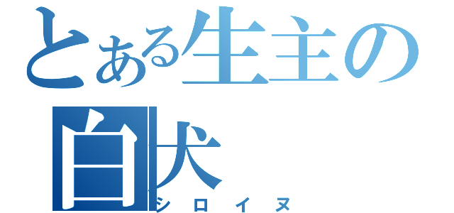 とある生主の白犬（シロイヌ）