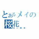 とあるメイの桜花（白い國度）