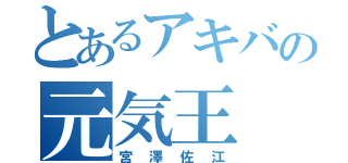 とあるアキバの元気王（宮澤佐江）