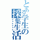 とある学生の採集生活（ふぁんふぁん）