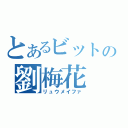 とあるビットの劉梅花（リュウメイファ）