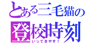 とある三毛猫の登校時刻（いってきやす！）