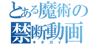 とある魔術の禁断動画（キチガイ）