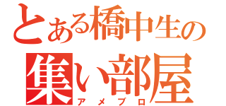 とある橋中生の集い部屋（アメブロ）