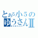 とある小５のゆうさんⅡ（まだまだガキ）