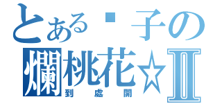 とある瘦子の爛桃花☆Ⅱ（到處開）