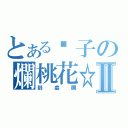 とある瘦子の爛桃花☆Ⅱ（到處開）