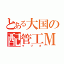 とある大国の配管工Ｍ（マリオ）