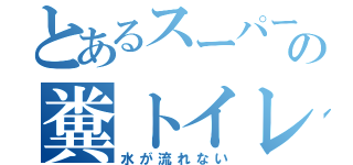 とあるスーパーの糞トイレ（水が流れない）