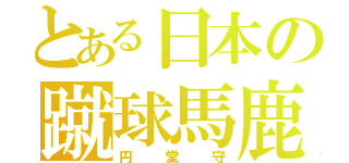 とある日本の蹴球馬鹿（円堂守）