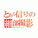 とある信号の細部撮影（細かすぎる世界へようこそ）