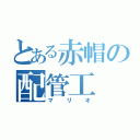 とある赤帽の配管工（マリオ）