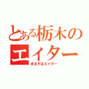 とある栃木のエイター（まるすばエイター）